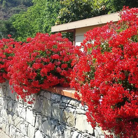 Santa Vittoria 캠프장